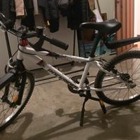 bicicletta bambino 20 pollici 