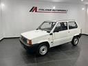 fiat-panda-900-i-e-cat-young