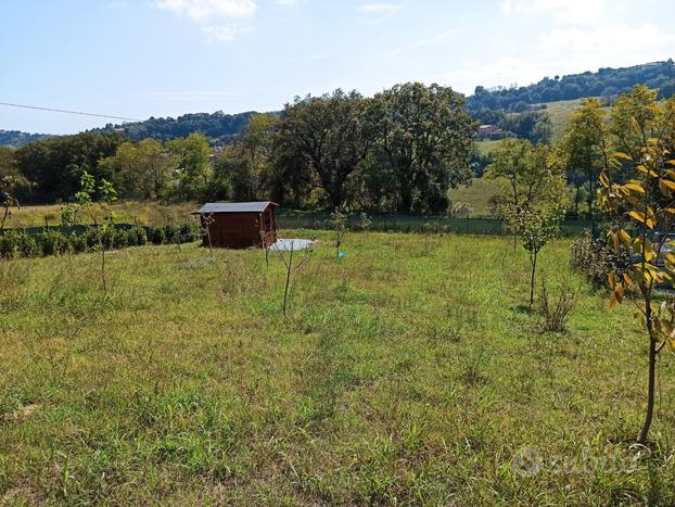 Vendita terreno agricolo