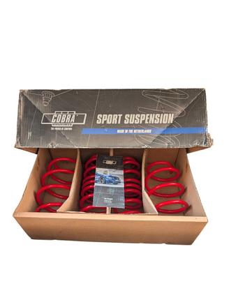 Molle Sportive Cobra Sport Suspension Made in NL