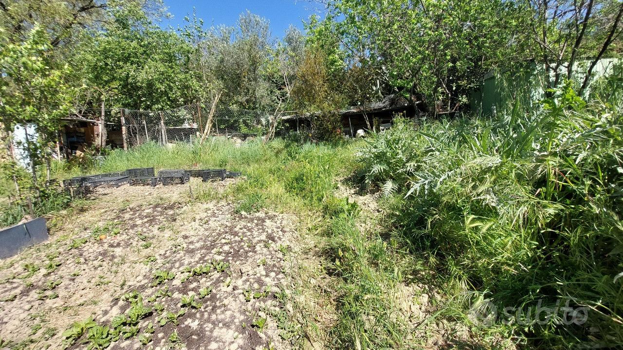 Agricolo a Asciano - Vista 3