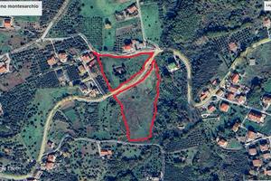 Terreno agricolo con fabbricato bifamiliare