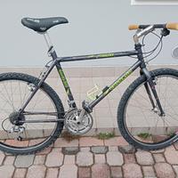MTB Colnago vintage maxim