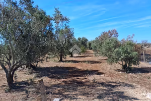 TER. AGRICOLO A NARDÒ