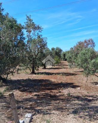 TER. AGRICOLO A NARDÒ