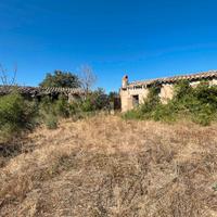 Lotto 1,2 ettari con fabbricato su strada statale