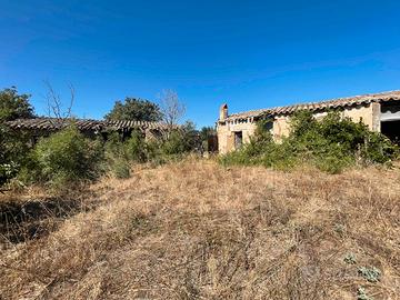 Lotto 1,2 ettari con fabbricato su strada statale