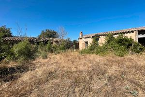 Lotto 1,2 ettari con fabbricato su strada statale