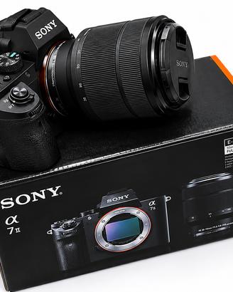 SONY A7 II + OBIETTIVO 28-70 – 4371 scatti