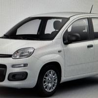 FIAT Panda 3ª serie Panda 1.0 FireFly S&S Hybr...