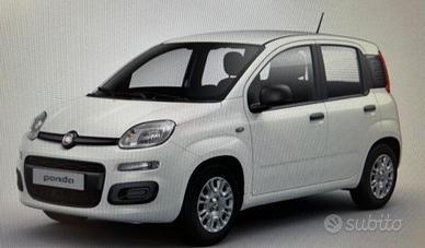 FIAT Panda 3ª serie Panda 1.0 FireFly S&S Hybr...