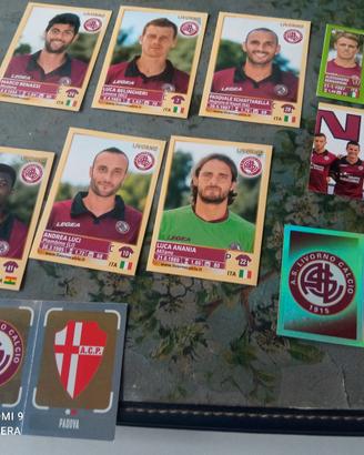 Livorno Calcio figurine calciatori panini 