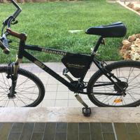 Bicicletta