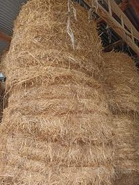 Rotoli Fieno