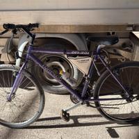 Bici torpado off road