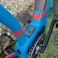 bike elettrica usata