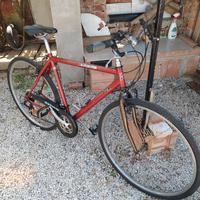 city bike uomo 