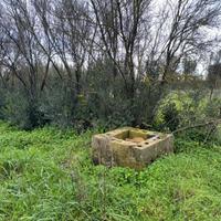 San Sperate. Terreno agricolo recintato