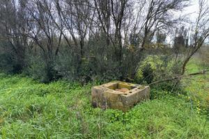 San Sperate. Terreno agricolo recintato