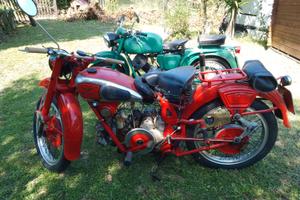 GUZZI Airone sport 1950 TARGA ORO
