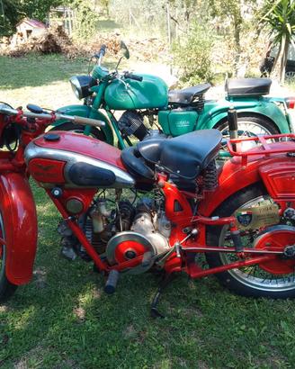 GUZZI Airone sport 1950 TARGA ORO