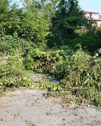 Giardiniere Udine/Gemona/Tolmezzo