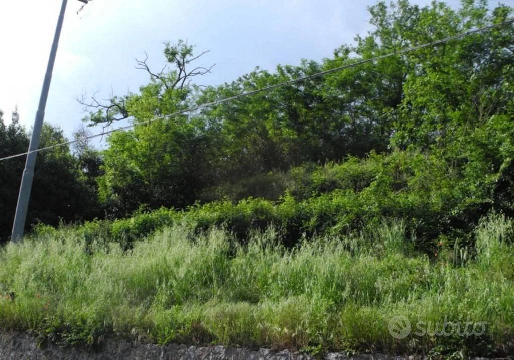 Immobile in asta di 1140 m² a Buti - Vista 5