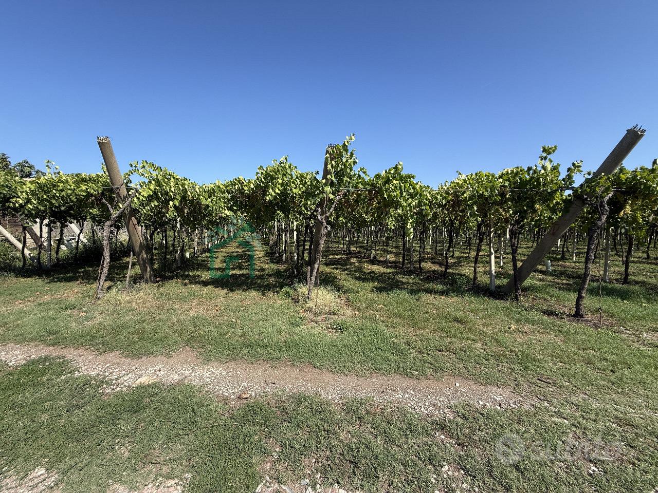 Terreno a San Bonifacio (VR) - Altro