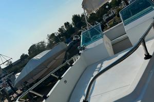 Barca Gobbi 5,5 m con carrello