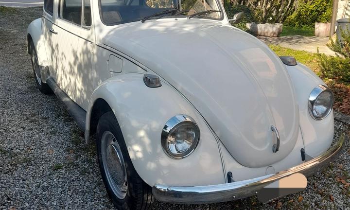 Maggiolino standard 73