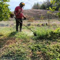 pulizia terreni con decespugliatore