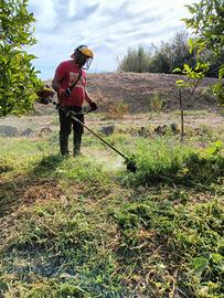 pulizia terreni con decespugliatore