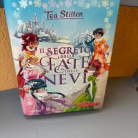 Libro “Il segreto delle fate delle nevi”