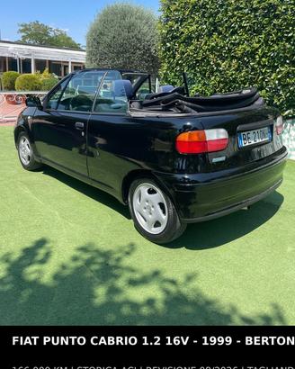 Fiat punto cabrio 1.216v sogno cabrio a costo zero
