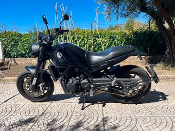 Benelli Leoncino 500