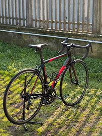 WILIER TRIESTINA tg 54