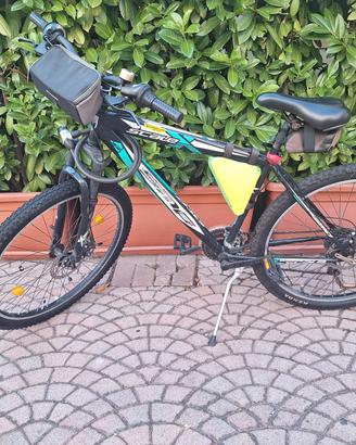 mountain bike entry-level 