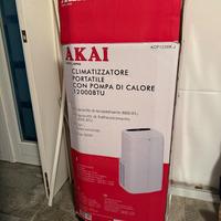 Climatizzatore portatile 12000 BTU con pompa di ca
