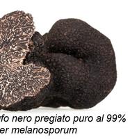 Allena il tuo cane essenza di tartufo puro al 99%