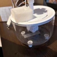 Dispenser d’acqua per animali