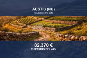 Immobile in asta di 277280 m² a Austis