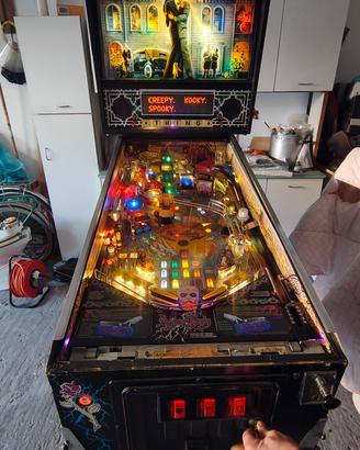 Flipper The Addams Family