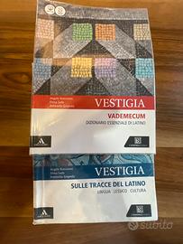 Vestigia sulle tracce del latino