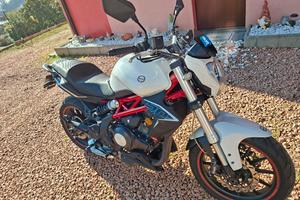 Benelli BN 302s del 2017