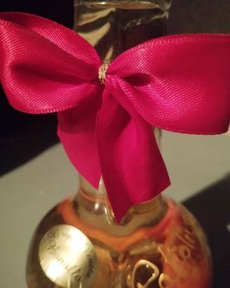 Bottiglia artistica goliardica grappa "Bonollo"