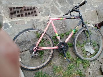 Bici da sstemare