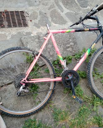 Bici da sstemare