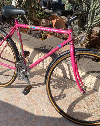Bici maschile