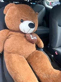 orso gigante