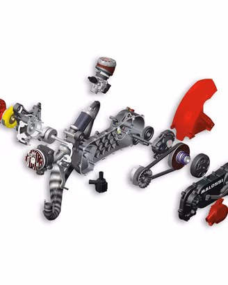 MOTORE COMPLETO MALOSSI RC-ONE 94CC